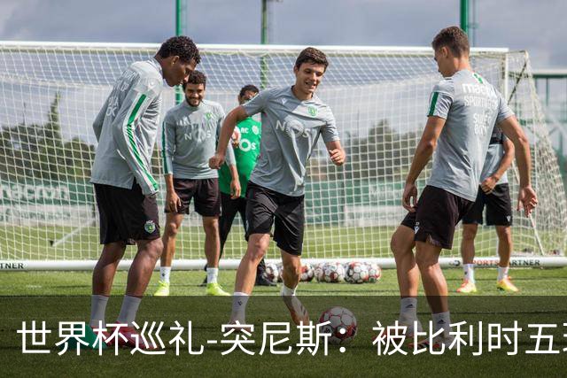 世界杯巡礼-突尼斯：被比利时五球“羞辱”，迦太基之鹰前途难测